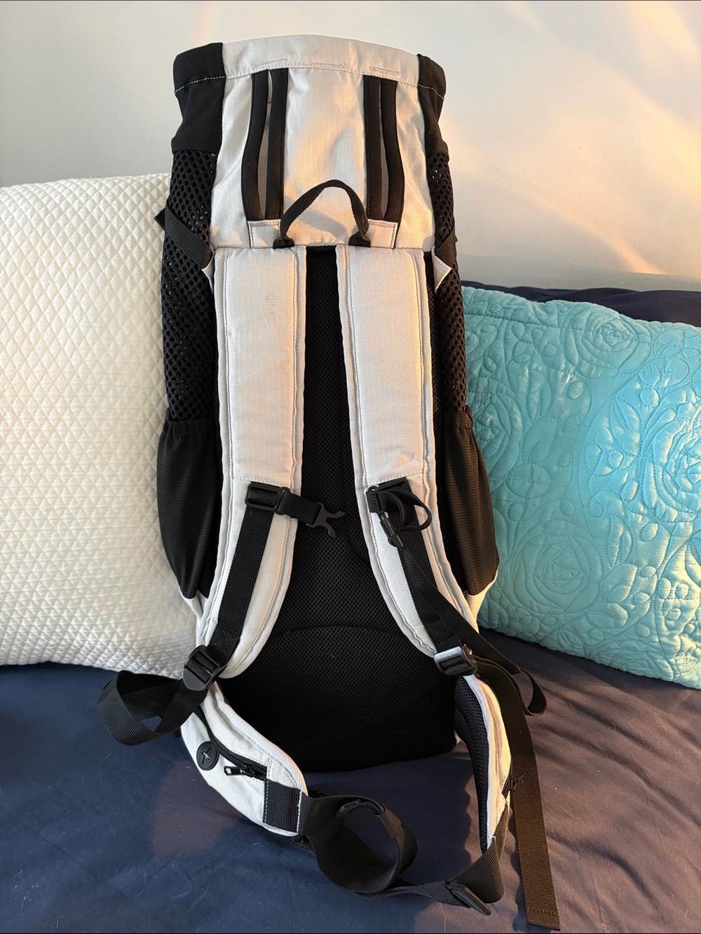 Knavigate | Advanced Dog Carrier with Internal Frame & Hip Belt - Small - Picture 2 of 5